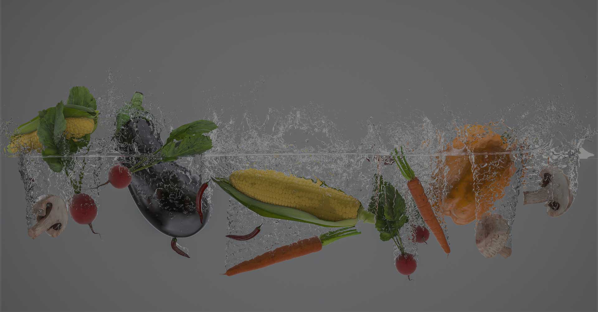 Slide 01